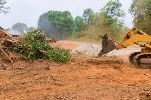 Ground Clearing in Walnut Creek