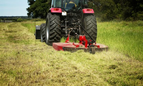 Brush Clearing Service in Walnut Creek