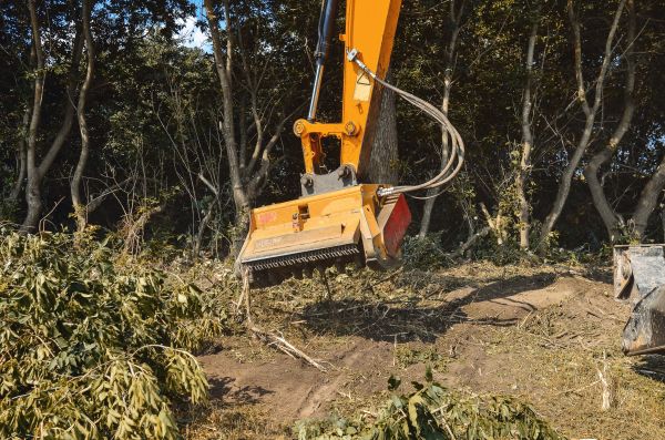 Brush Removal Service in Walnut Creek
