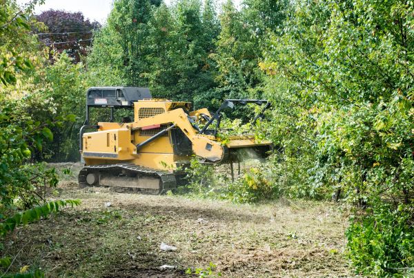 Pathway Clearing in Walnut Creek