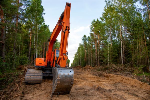 Backhoe Land Clearing in Walnut Creek
