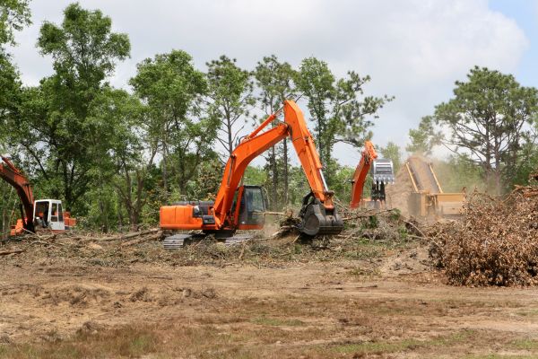 Commercial Lot Clearing in Walnut Creek