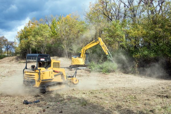 Terrain Clearing in Walnut Creek