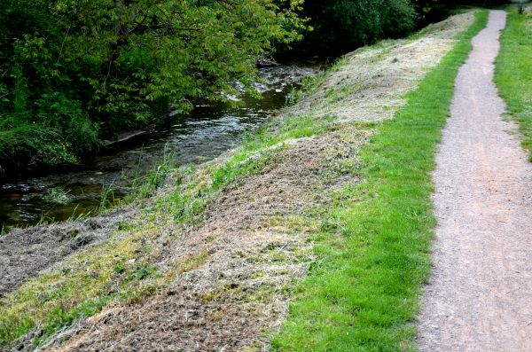 Trail Cutting in Walnut Creek